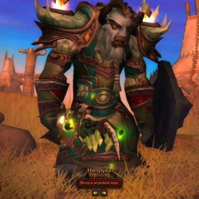 Персонаж WoW